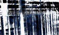 gitterdist-2_pic
