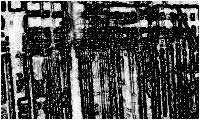 gitterdist-4_pic